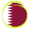 esim Qatar