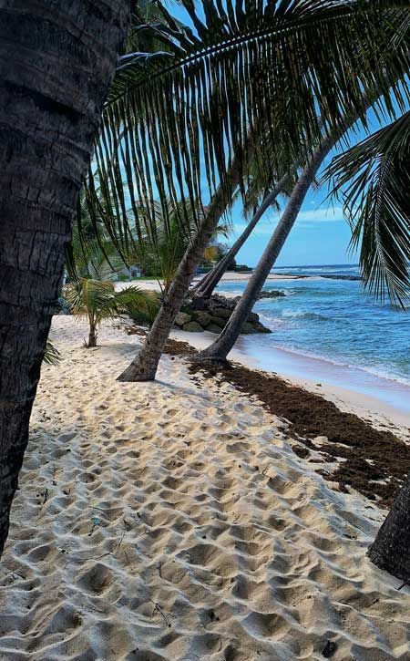 esim Barbados | get eSIM travel esim Barbados | get eSIM travel