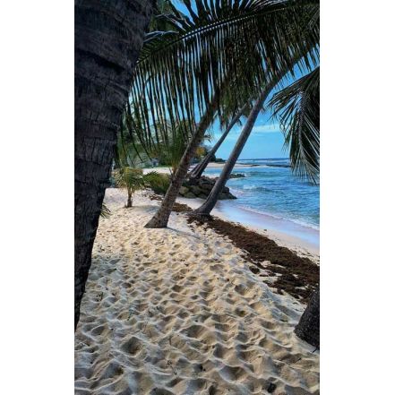 esim Barbados | get eSIM travel