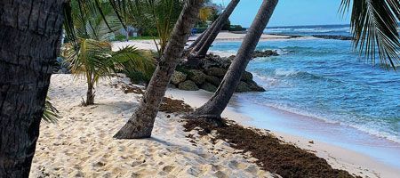 esim Barbados | get eSIM travel esim Barbados | get eSIM travel