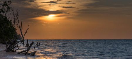 esim Surinam | get eSIM travel esim Surinam | get eSIM travel