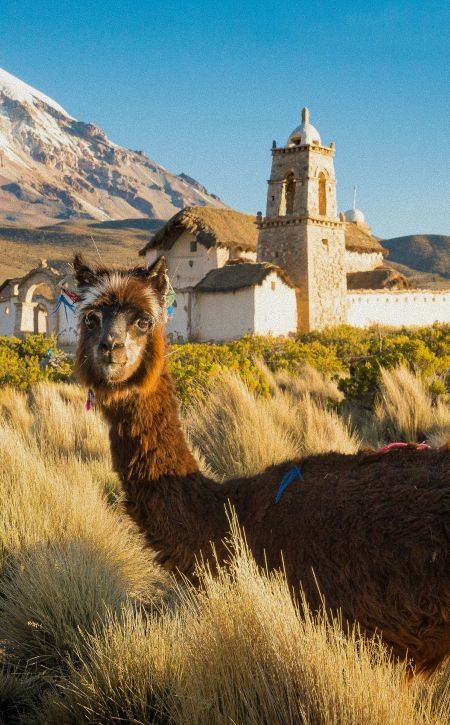 eSIM América del Sur | get eSIM travel