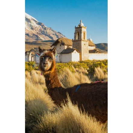 eSIM América del Sur | get eSIM travel